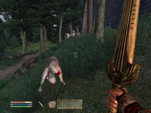 Elder Scrolls IV: Oblivion, The - Дневник имперского гастарбайтера. Том третий.